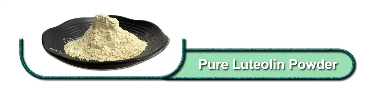 Pure Luteolin.jpg